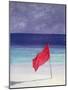 Beach Flag - Storm Warning, 1985-Lincoln Seligman-Mounted Giclee Print