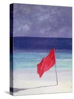 Beach Flag - Storm Warning, 1985-Lincoln Seligman-Stretched Canvas
