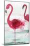 Beach Flamingoes-Aimee Wilson-Mounted Art Print