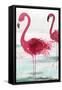 Beach Flamingoes-Aimee Wilson-Framed Stretched Canvas
