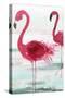 Beach Flamingoes-Aimee Wilson-Stretched Canvas