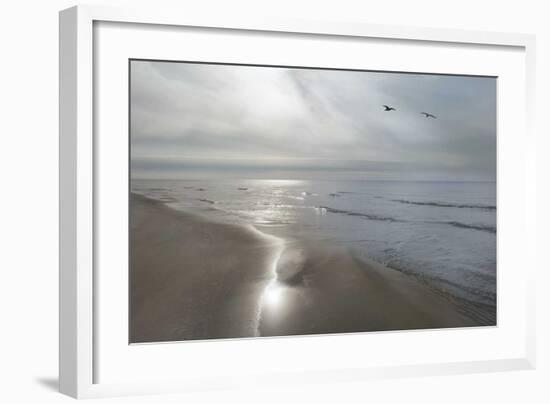 Beach Flight-Monte Nagler-Framed Giclee Print