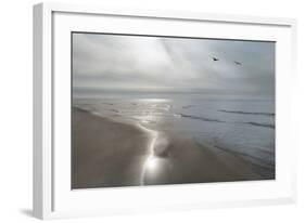 Beach Flight-Monte Nagler-Framed Giclee Print