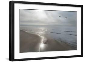 Beach Flight-Monte Nagler-Framed Giclee Print