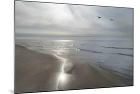 Beach Flight-Monte Nagler-Mounted Giclee Print