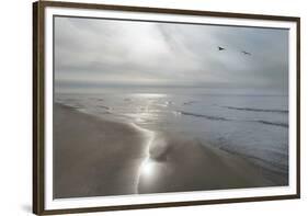 Beach Flight-Monte Nagler-Framed Giclee Print