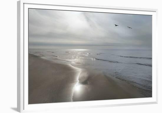 Beach Flight-Monte Nagler-Framed Giclee Print