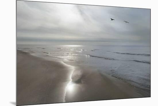 Beach Flight-Monte Nagler-Mounted Giclee Print