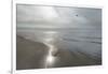 Beach Flight-Monte Nagler-Framed Giclee Print