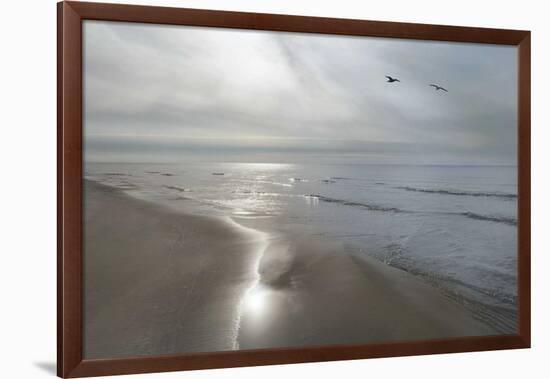 Beach Flight-Monte Nagler-Framed Giclee Print