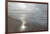 Beach Flight-Monte Nagler-Framed Giclee Print