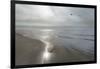 Beach Flight-Monte Nagler-Framed Giclee Print