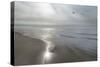 Beach Flight-Monte Nagler-Stretched Canvas