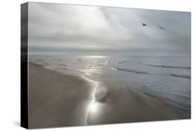 Beach Flight-Monte Nagler-Stretched Canvas