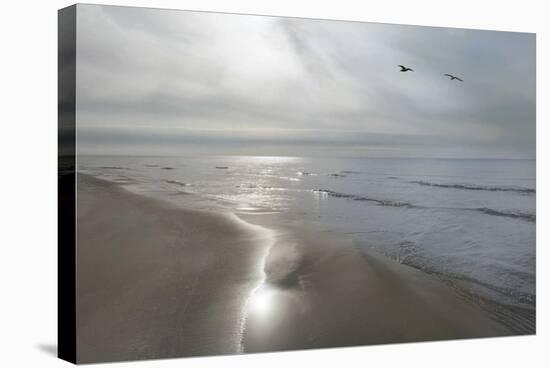 Beach Flight-Monte Nagler-Stretched Canvas