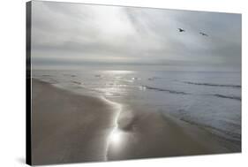 Beach Flight-Monte Nagler-Stretched Canvas