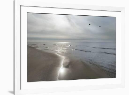 Beach Flight-Monte Nagler-Framed Art Print