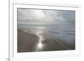 Beach Flight-Monte Nagler-Framed Art Print