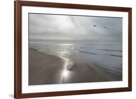 Beach Flight-Monte Nagler-Framed Art Print