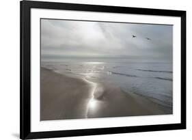 Beach Flight-Monte Nagler-Framed Art Print