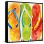 Beach Flip Flops-Mary Escobedo-Framed Stretched Canvas