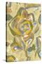 Beach Flower II-Sandra Jacobs-Stretched Canvas