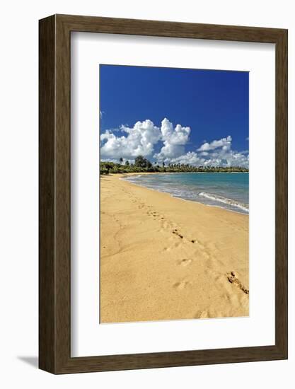 Beach Footprints, Loisa, Puerto Rico-George Oze-Framed Photographic Print