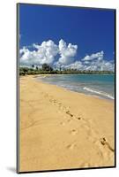 Beach Footprints, Loisa, Puerto Rico-George Oze-Mounted Photographic Print