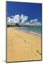 Beach Footprints, Loisa, Puerto Rico-George Oze-Mounted Photographic Print