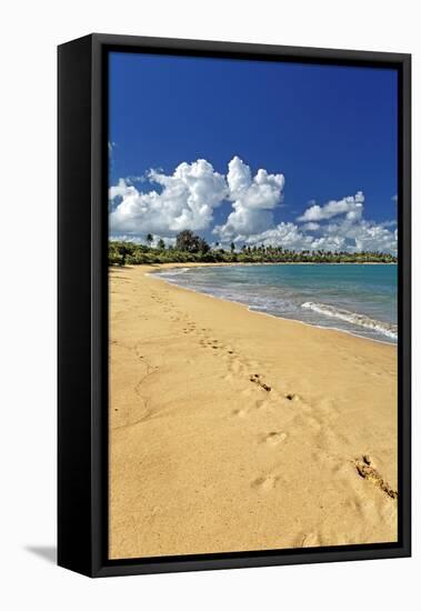 Beach Footprints, Loisa, Puerto Rico-George Oze-Framed Stretched Canvas