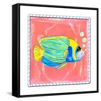 Beach Front Fish-Ormsby, Anne Ormsby-Framed Stretched Canvas