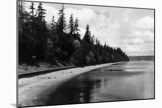 Beach Front View of Point Defiance Park - Tacoma, WA-Lantern Press-Mounted Art Print