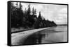 Beach Front View of Point Defiance Park - Tacoma, WA-Lantern Press-Framed Stretched Canvas