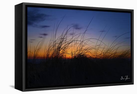 Beach Grass Colors-5fishcreative-Framed Stretched Canvas