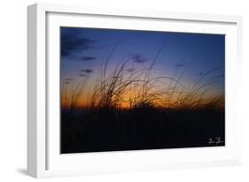 Beach Grass Colors-5fishcreative-Framed Giclee Print