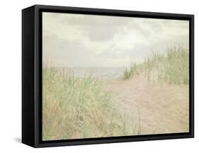 Beach Grass III-Elizabeth Urquhart-Framed Stretched Canvas