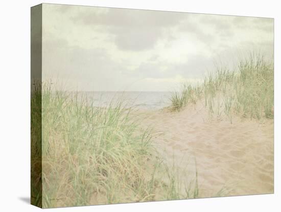 Beach Grass III-Elizabeth Urquhart-Stretched Canvas