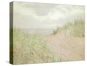 Beach Grass III-Elizabeth Urquhart-Stretched Canvas