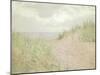 Beach Grass III-Elizabeth Urquhart-Mounted Art Print