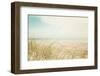 Beach Grass V Light-Elizabeth Urquhart-Framed Photographic Print