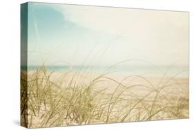 Beach Grass V Light-Elizabeth Urquhart-Stretched Canvas