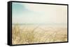 Beach Grass V Light-Elizabeth Urquhart-Framed Stretched Canvas