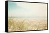 Beach Grass V Light-Elizabeth Urquhart-Framed Stretched Canvas