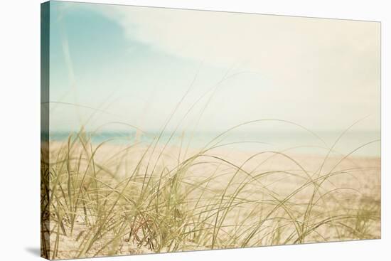 Beach Grass V Light-Elizabeth Urquhart-Stretched Canvas