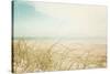 Beach Grass V Light-Elizabeth Urquhart-Stretched Canvas