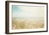 Beach Grass V Light-Elizabeth Urquhart-Framed Photographic Print