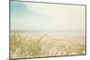 Beach Grass V Light-Elizabeth Urquhart-Mounted Photographic Print