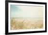 Beach Grass V Light-Elizabeth Urquhart-Framed Photographic Print