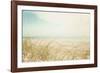 Beach Grass V Light-Elizabeth Urquhart-Framed Photographic Print