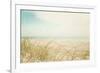 Beach Grass V Light-Elizabeth Urquhart-Framed Photographic Print